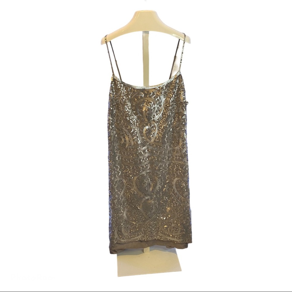 BCBG Maxazria Silver Sequin Dress (02)